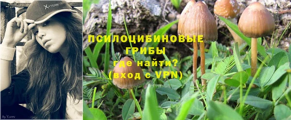 jwh Вяземский