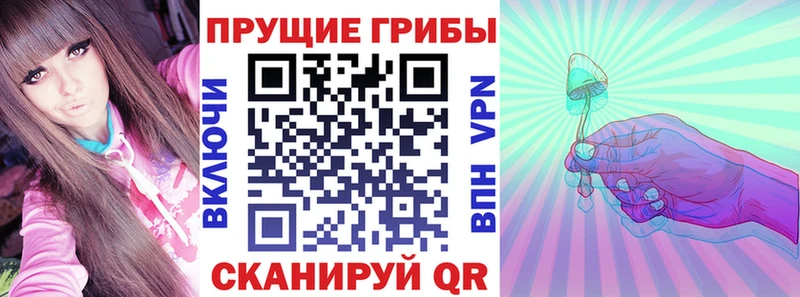 Псилоцибиновые грибы мицелий Канск